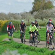 Gruppe von Radlern auf dem Fahrrad in der Natur