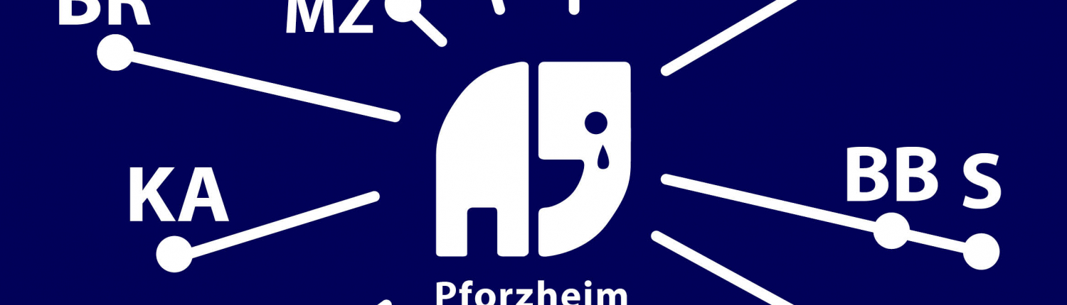 Sharepic für die Zubringerfahrten zur Gedenkfahrt für Natenom am 02.02.2025