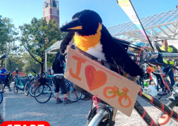 Sharepic für die Kidical Mass Pforzheim am 10.05.2025