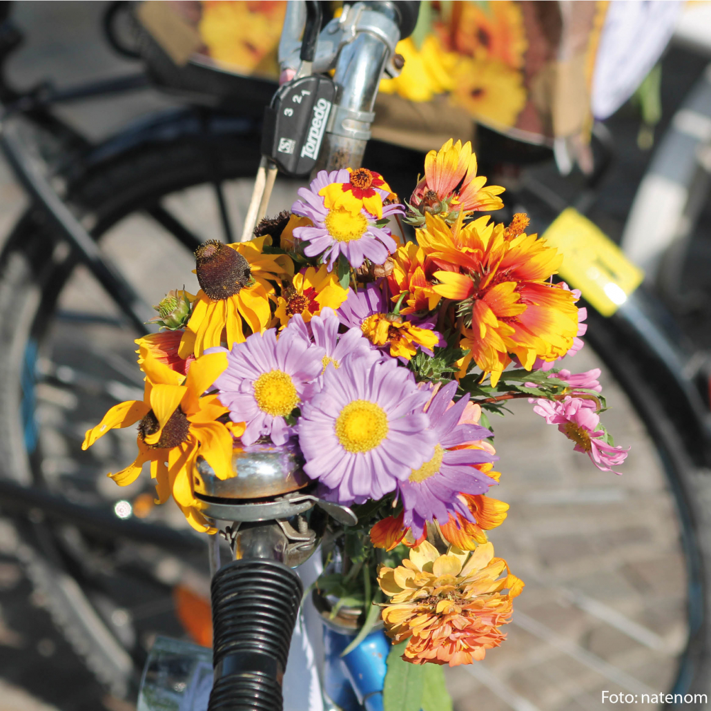 Sharepic für den Women & Girls Bike Ride Pforzheim am 27.09.2025