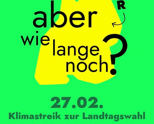 Sharepic von Fridays For Future Pforzheim für den Klimastreik zur Landtagswahl am 27.02.2026 auf dem Pforzheimer Marktplatz